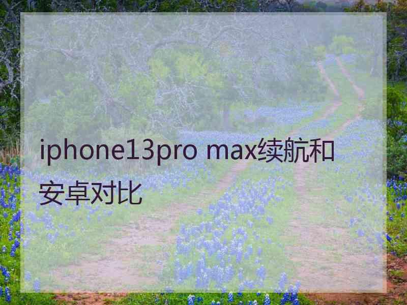 iphone13pro max续航和安卓对比