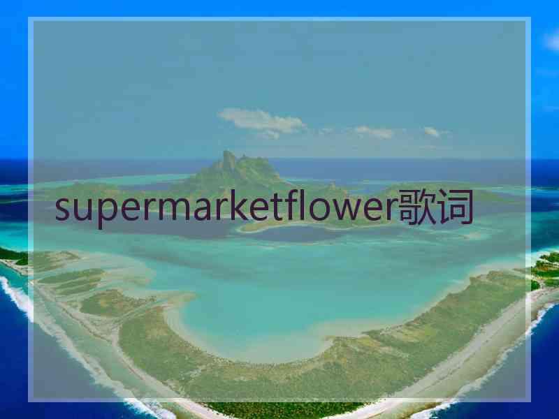 supermarketflower歌词