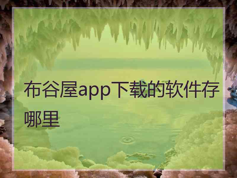 布谷屋app下载的软件存哪里