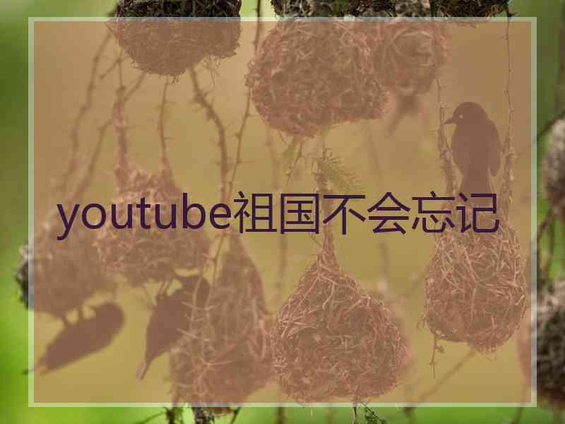 youtube祖国不会忘记