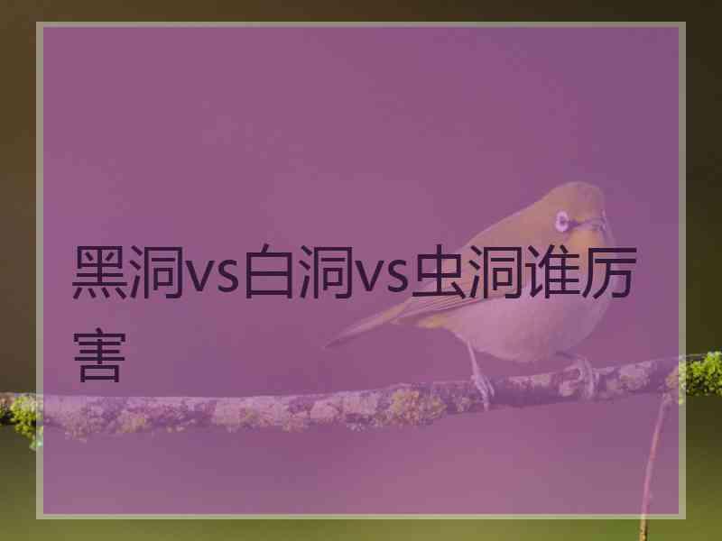 黑洞vs白洞vs虫洞谁厉害