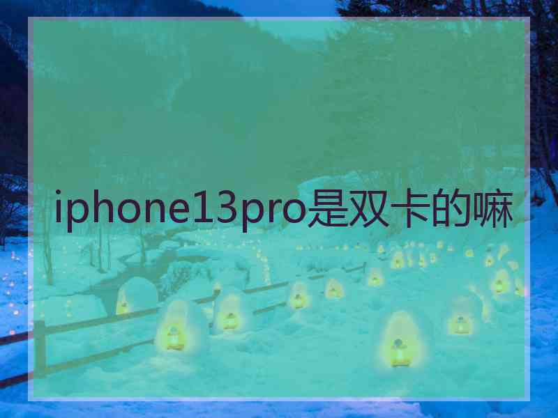 iphone13pro是双卡的嘛