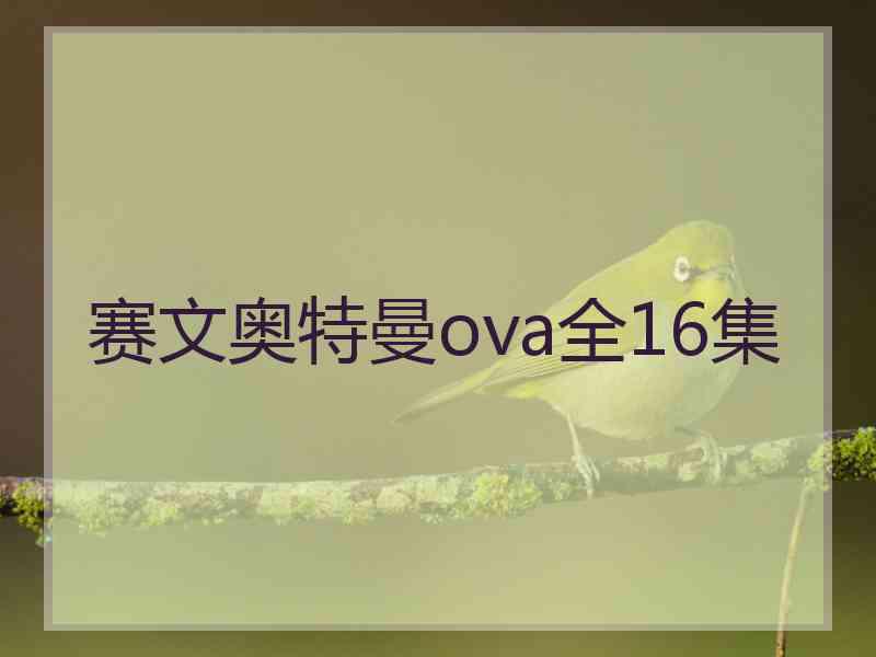 赛文奥特曼ova全16集