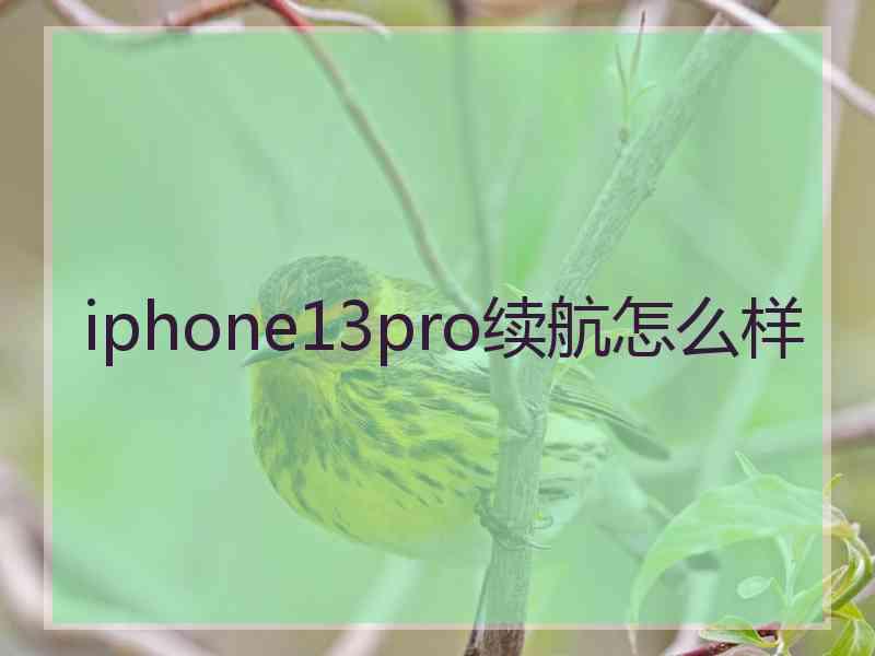 iphone13pro续航怎么样