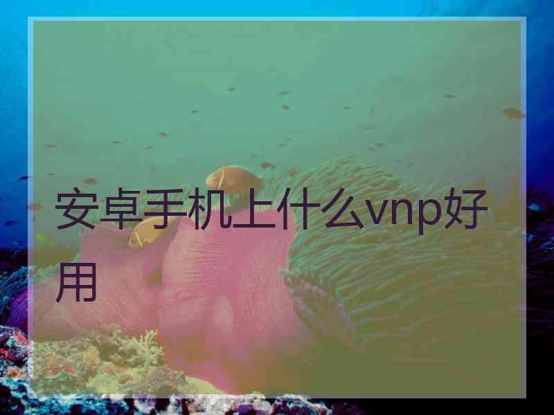 安卓手机上什么vnp好用