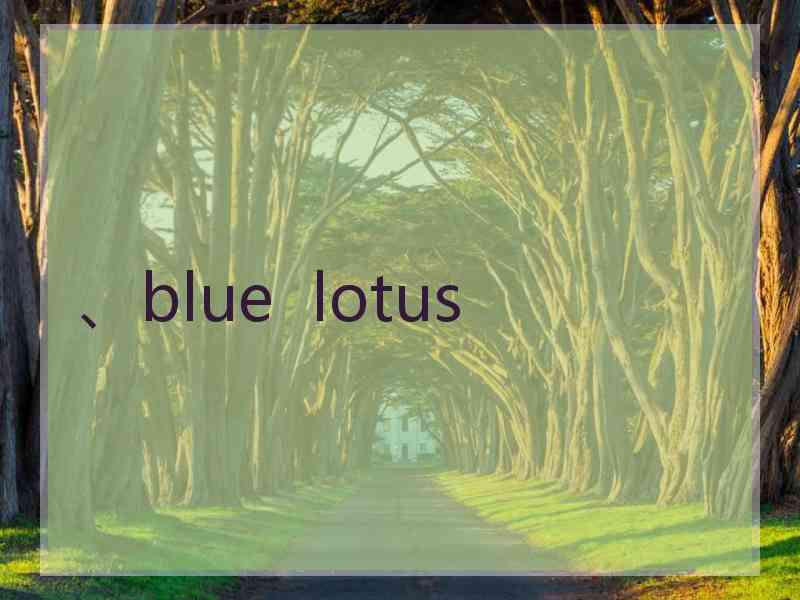 、blue  lotus