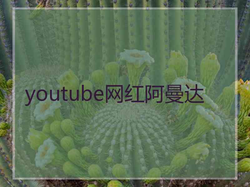 youtube网红阿曼达