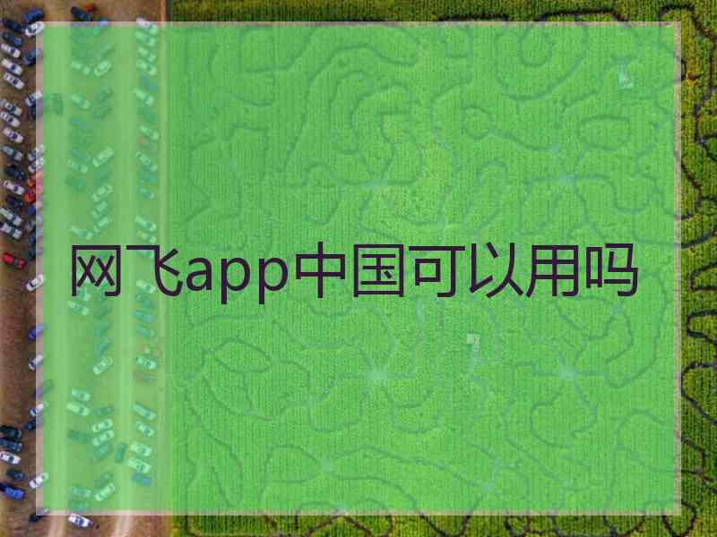 网飞app中国可以用吗