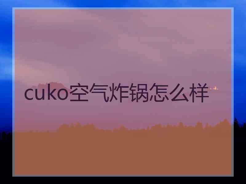 cuko空气炸锅怎么样