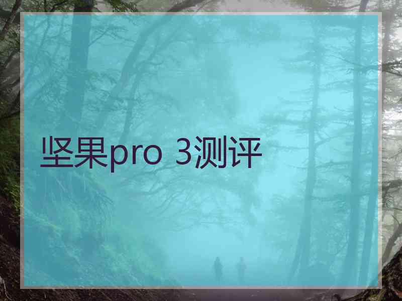 坚果pro 3测评