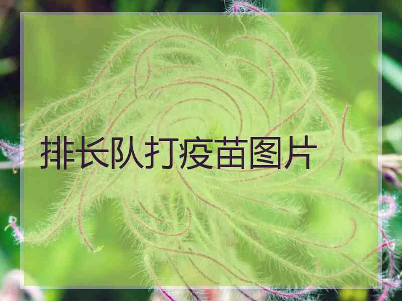 排长队打疫苗图片