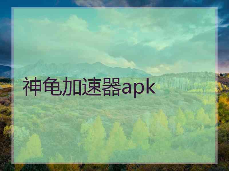 神龟加速器apk