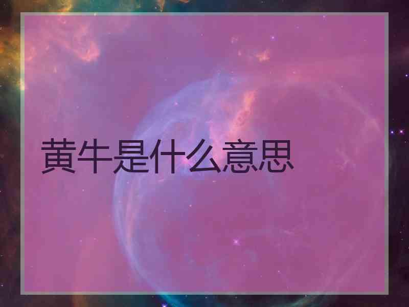 黄牛是什么意思