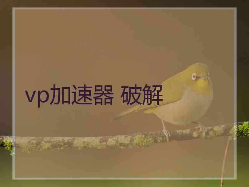 vp加速器 破解