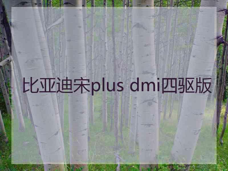 比亚迪宋plus dmi四驱版