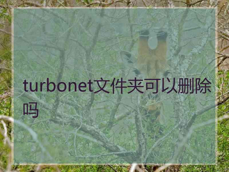 turbonet文件夹可以删除吗