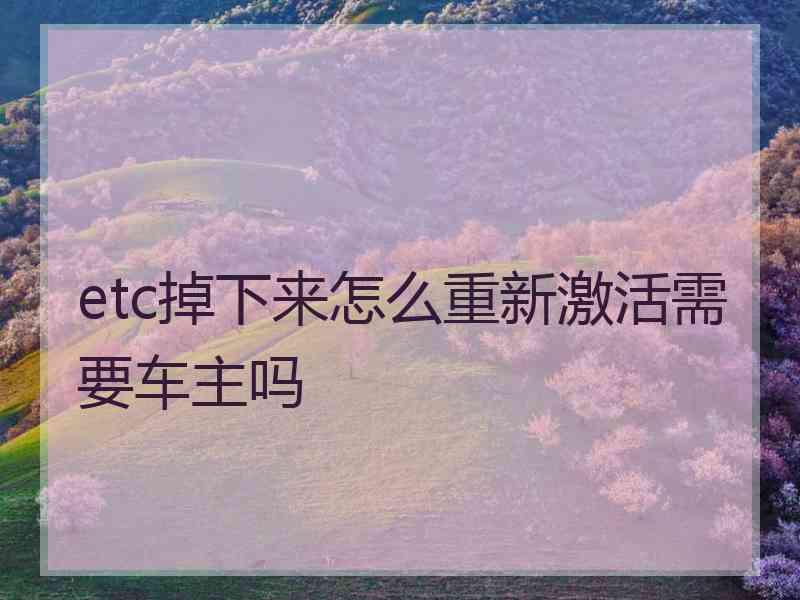 etc掉下来怎么重新激活需要车主吗