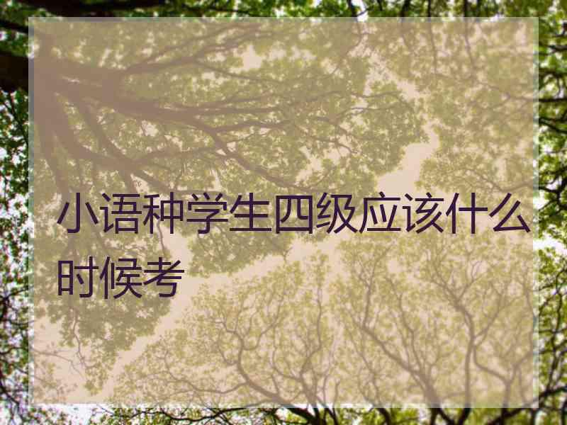 小语种学生四级应该什么时候考