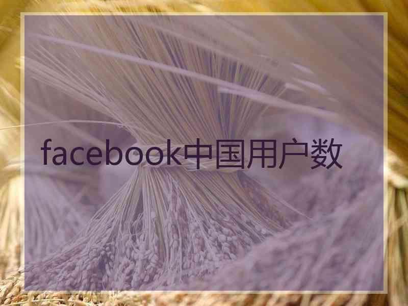 facebook中国用户数