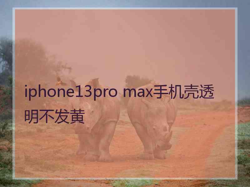 iphone13pro max手机壳透明不发黄