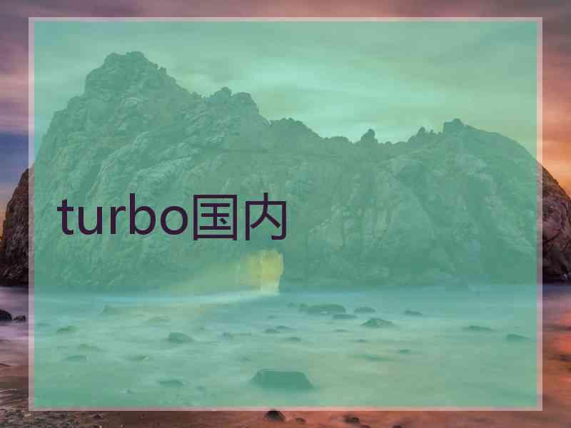 turbo国内