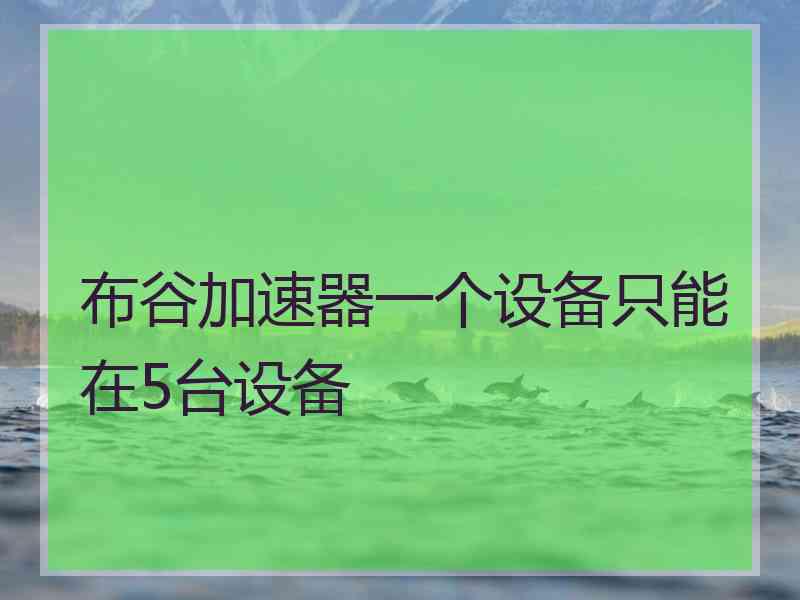 布谷加速器一个设备只能在5台设备