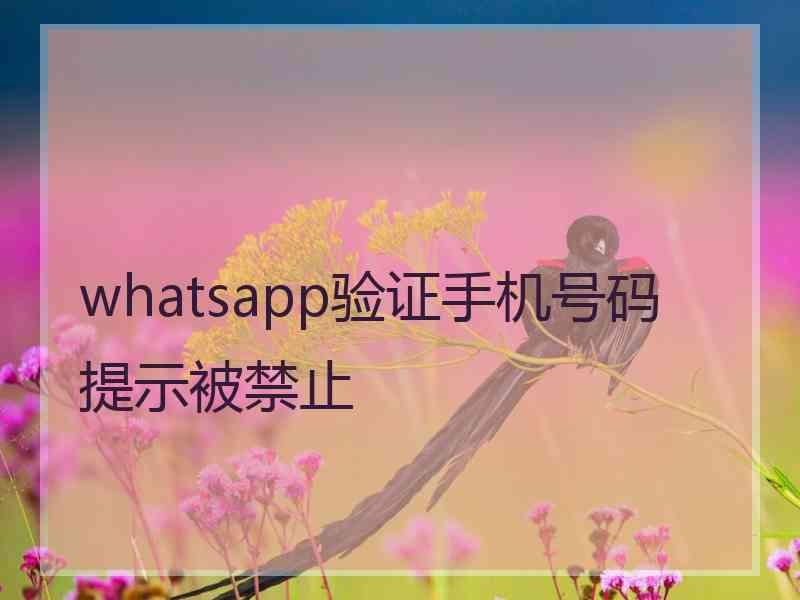 whatsapp验证手机号码提示被禁止