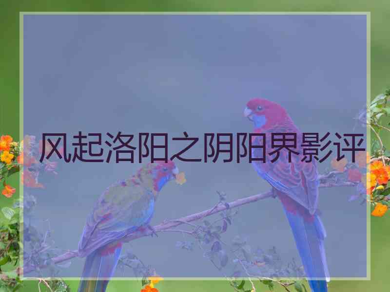 风起洛阳之阴阳界影评