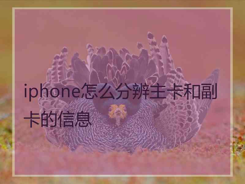 iphone怎么分辨主卡和副卡的信息