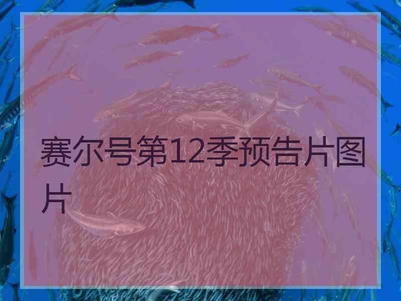 赛尔号第12季预告片图片