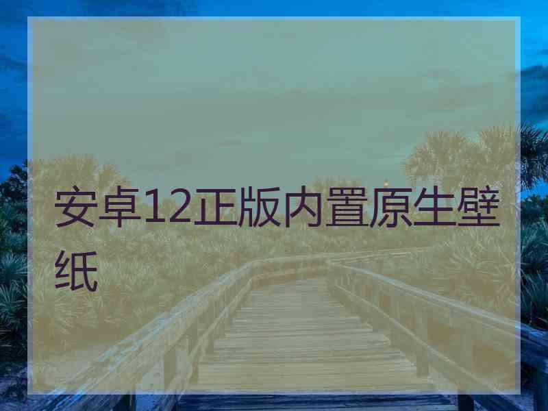 安卓12正版内置原生壁纸