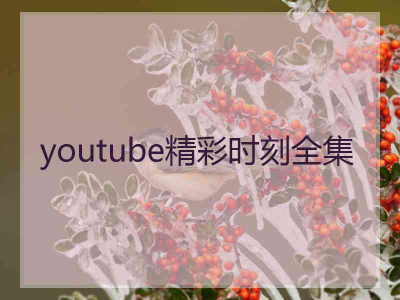 youtube精彩时刻全集