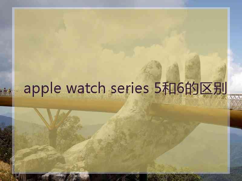 apple watch series 5和6的区别