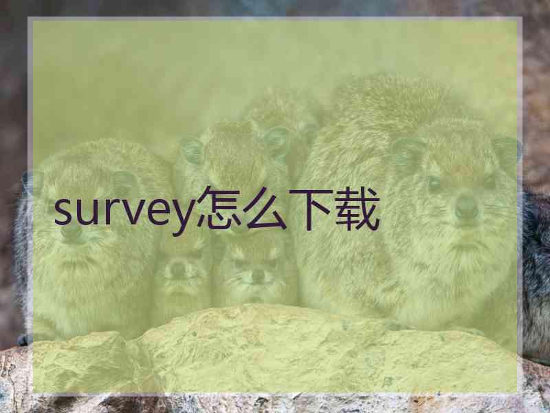 survey怎么下载