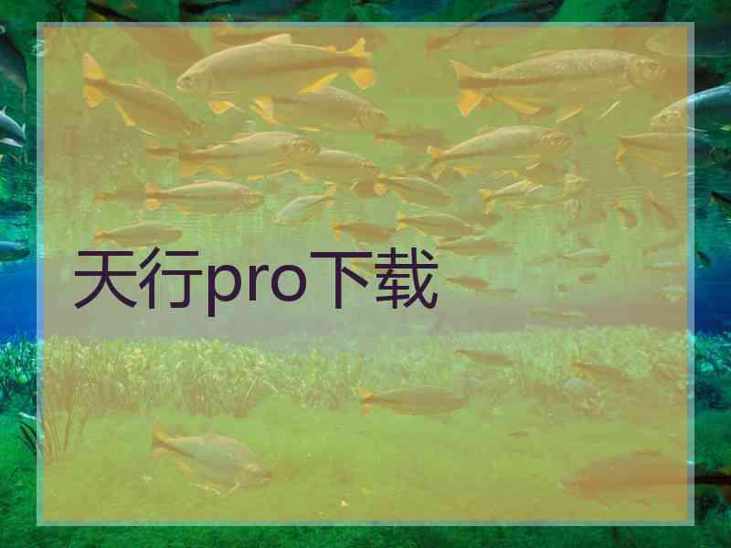 天行pro下载