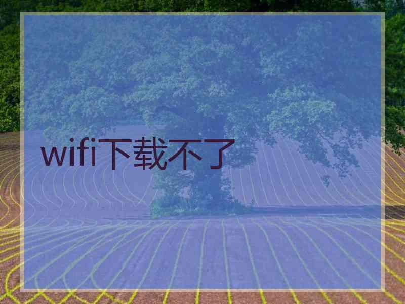 wifi下载不了