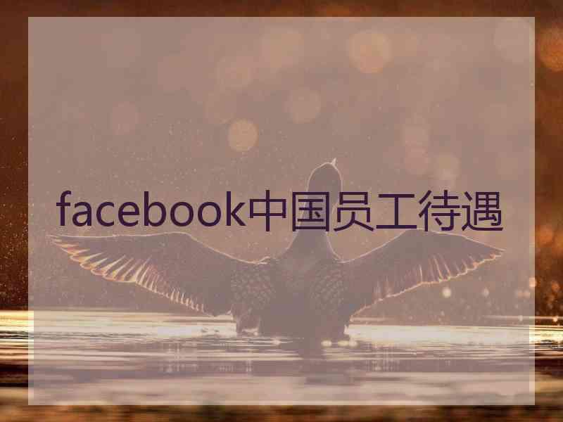 facebook中国员工待遇