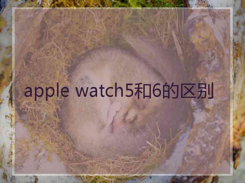 apple watch5和6的区别