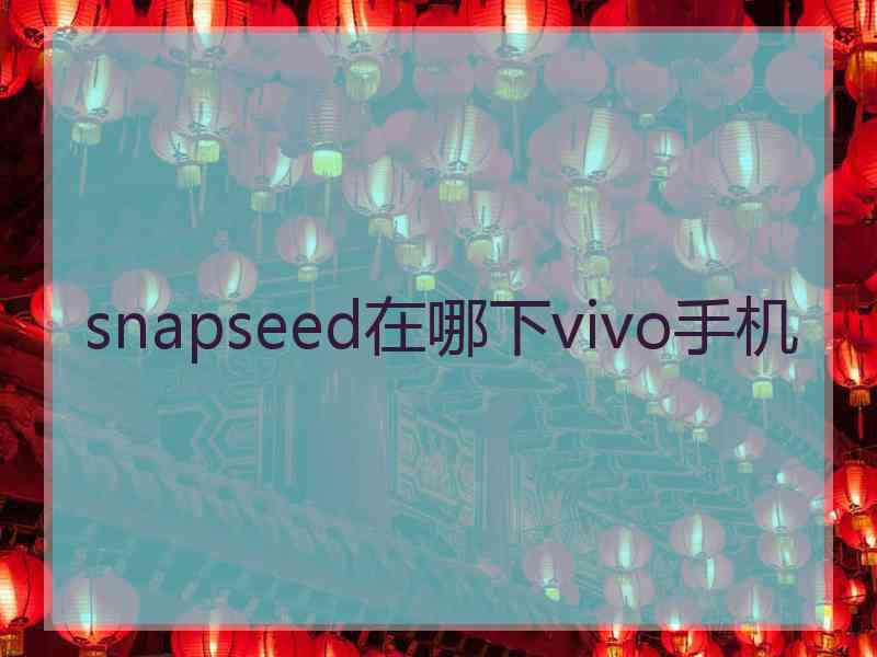 snapseed在哪下vivo手机