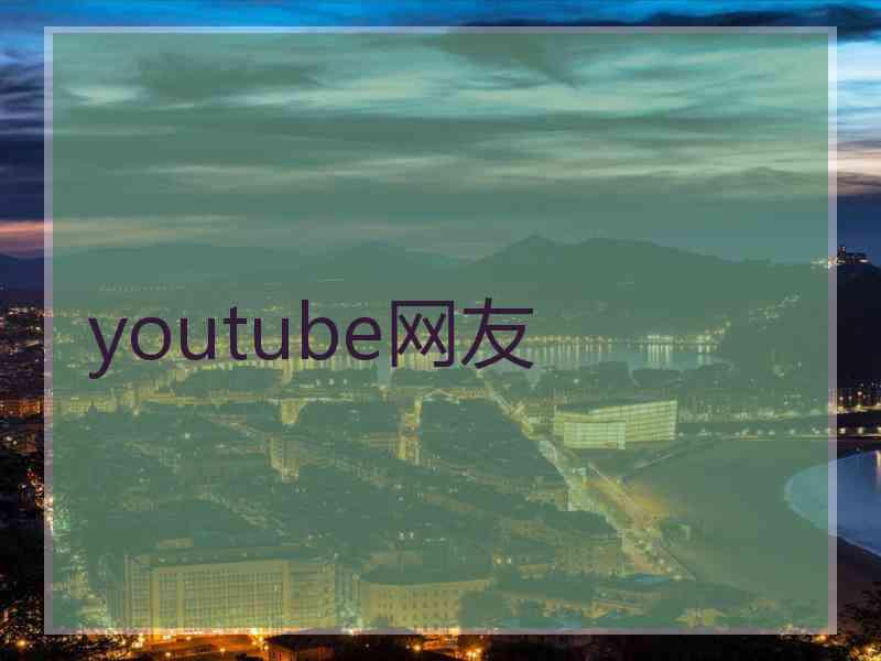 youtube网友