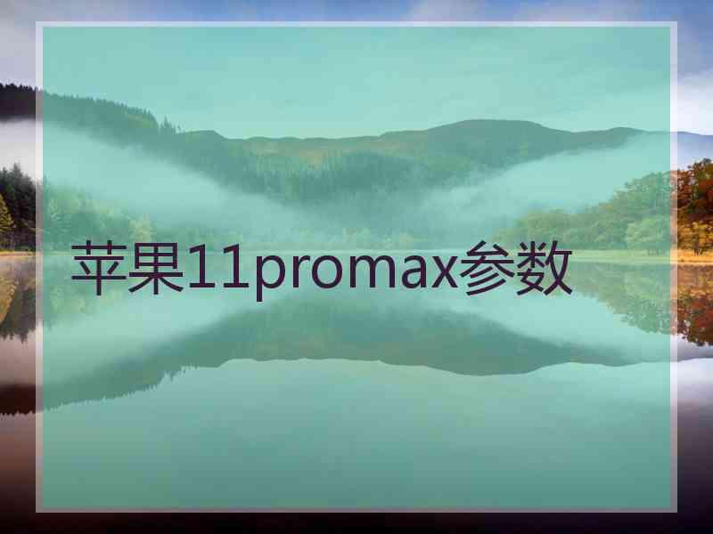 苹果11promax参数