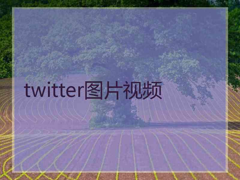 twitter图片视频