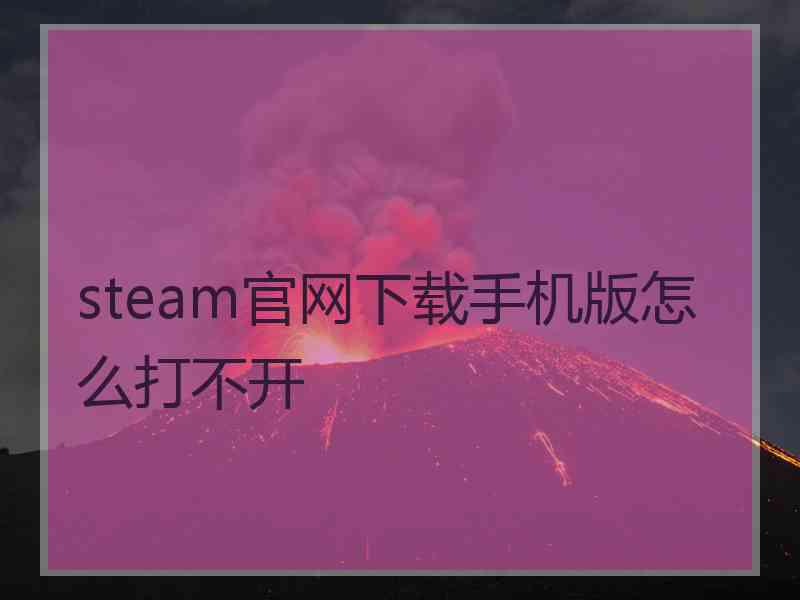 steam官网下载手机版怎么打不开