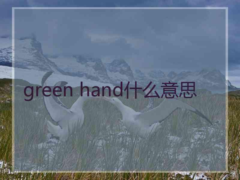 green hand什么意思