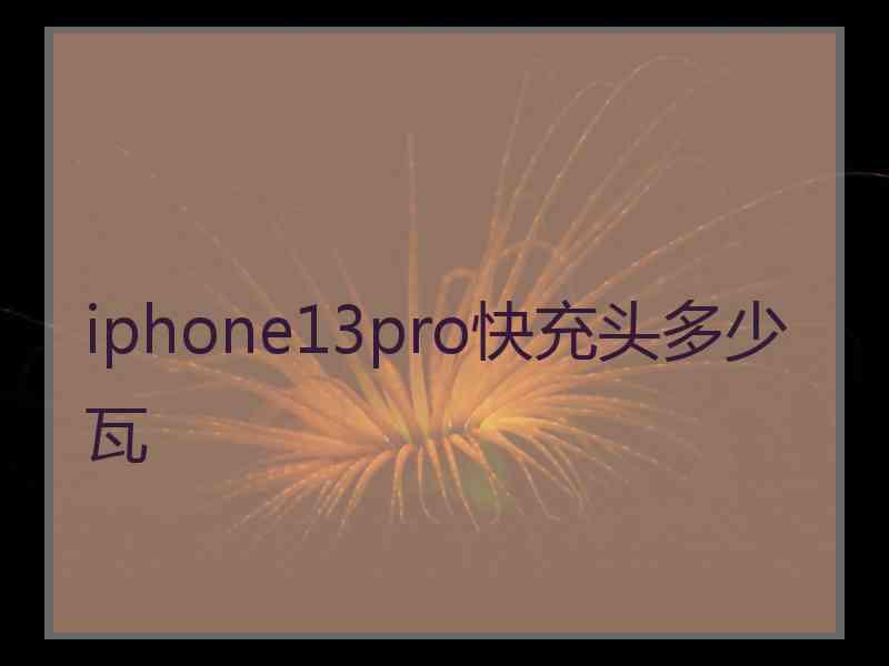 iphone13pro快充头多少瓦