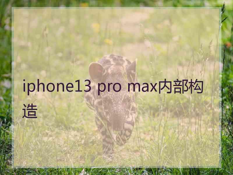 iphone13 pro max内部构造