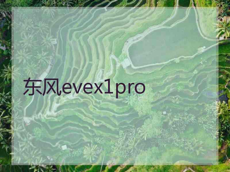 东风evex1pro