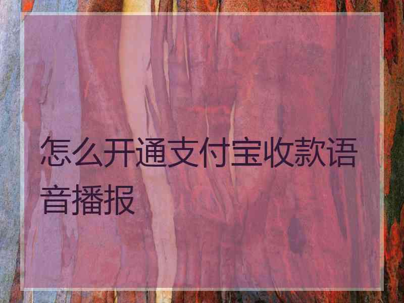 怎么开通支付宝收款语音播报