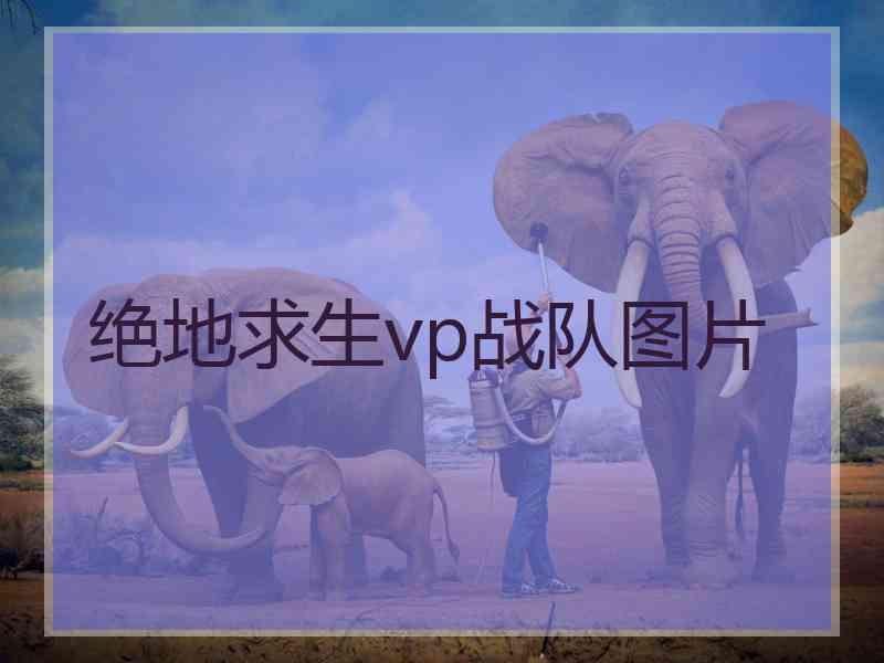 绝地求生vp战队图片