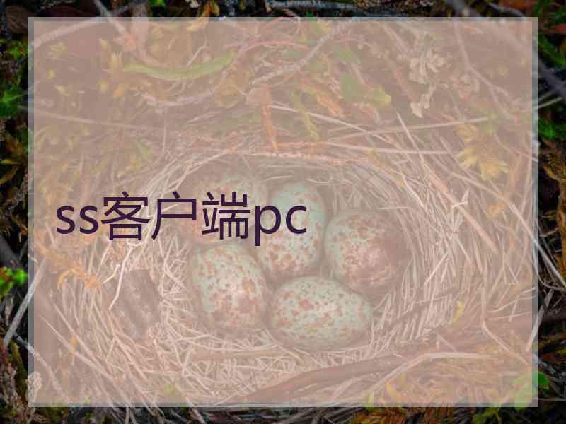 ss客户端pc